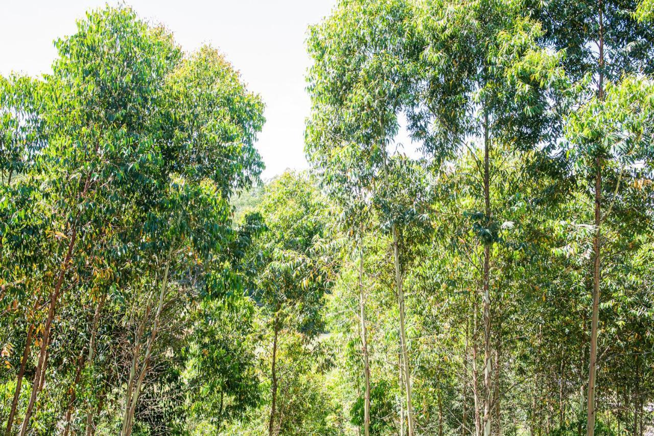 Casa Container Figo Em Meio A Natureza Na Serra Gaucha Флорес-да-Куння Екстер'єр фото